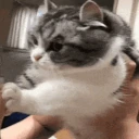 Shocked emote