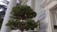 GETOUT emote