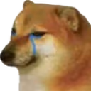 sadDoge emote