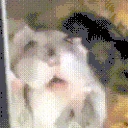 yumyum emote