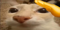 otag7 emote