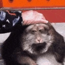 monkey_sad emote