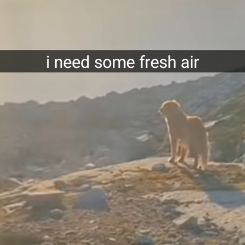 iNeedSomeFreshAir static emote