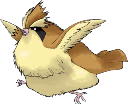fatPidgey emoji
