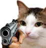 kiisu_gun emote