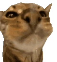 Drinking emote