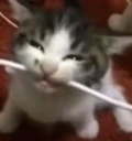 cable emote