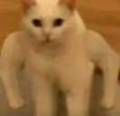 strongeg emote