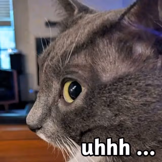 uhhh_cat emote