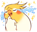 birbcrying2 emote
