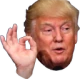 Trumpnice emote