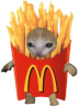 FryCat static emote