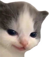 not_hehe emote