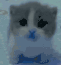 Cold animated emote