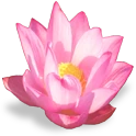 flower_lotus emote