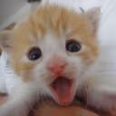 WAOW emote