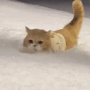 snow emote