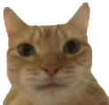 catISeeYou emote