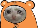CE_Sad emote
