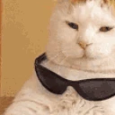 ezCat emote