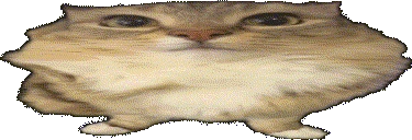 scwawa emote