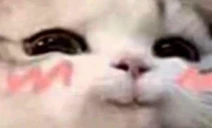 smile emote
