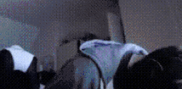 GFMB animated emote