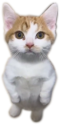 Jeremy static emote