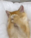 GoodMorning emoji