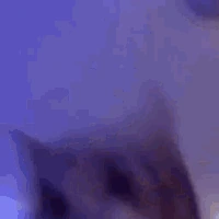 catdance emote