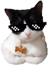catswag emote