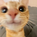 333 static emote