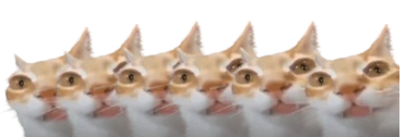 ermy static emote