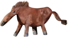 HONSE emote
