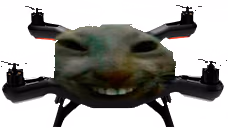 xdDrone emote
