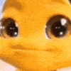 Swalla animated emote