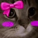 MeowCute emote