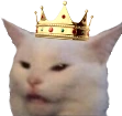 KingCat emote