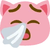 Rpnnn emote