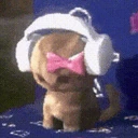 catJamming emote