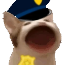copCat emote