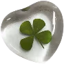 plant_in_heart emote