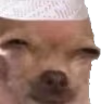 Doge_Sus emote