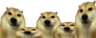 StareCouncil emote