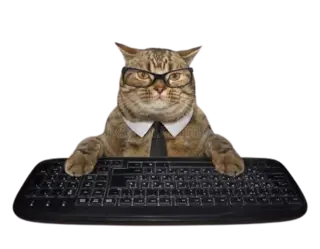 cat_office emote