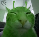 buhglorp static emote