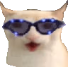 CatJam emote