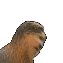 bbPossessed emote