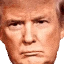 trumpSmug emote