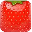 bushberry emoji